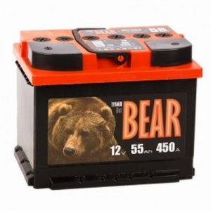  Tyumen Batbear 242*175*190 / 55Ah EN 450A 12 V